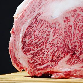 企業内のカメラさんにも撮影指導　愛知　名古屋　撮影　カメラマン